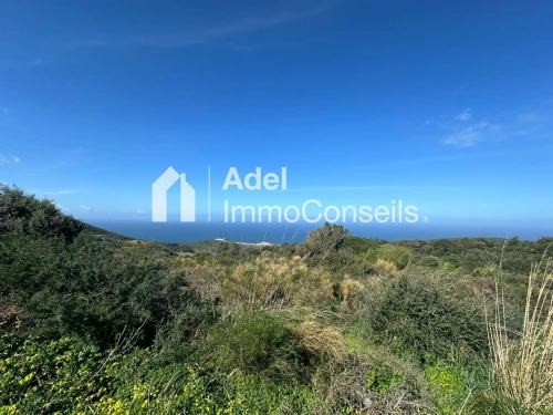 Vente Terrain Annaba Annaba
