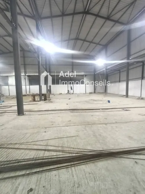 Location Hangar - Usine Annaba El hadjar