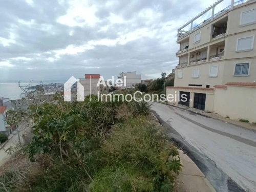 Vente Terrain Annaba Annaba