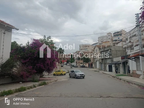 Location Local Annaba Annaba
