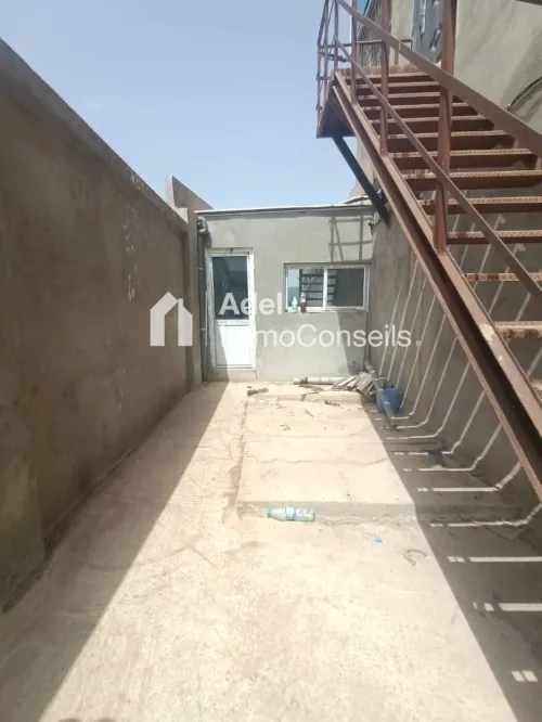 Location Hangar - Usine El Tarf Drean