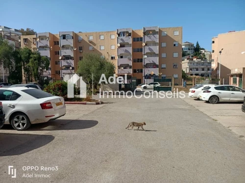 Location Appartement F4 Annaba Annaba