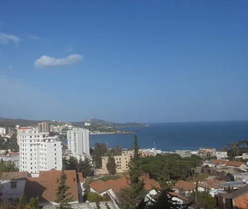 Vente Appartement F4 Annaba Annaba