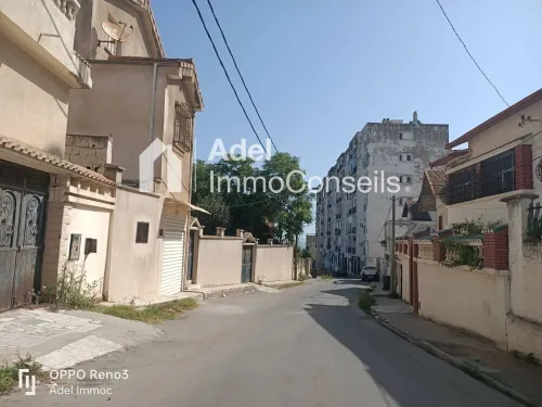 Location Appartement F3 Annaba Annaba