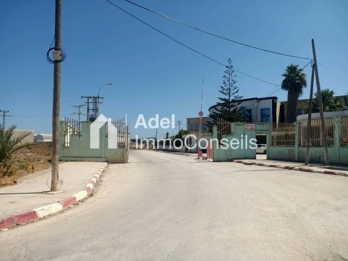 Vente Terrain El Tarf Ben mehdi