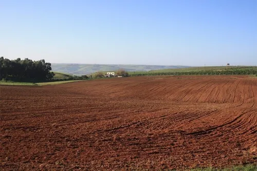 Vente Terrain Agricole Tissemsilt Tissemsilt