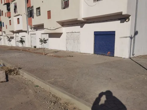 Vente Local Sidi Bel Abbès Sidi bel abbes
