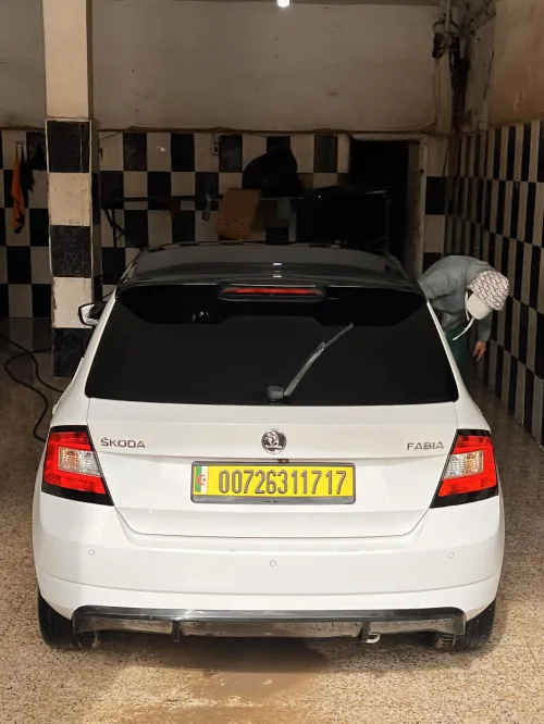 Skoda Fabia 2017 Monte Carlo