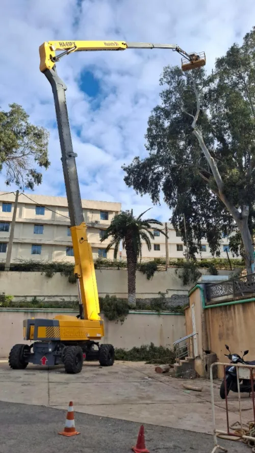 Location Nacelle Articulé 41m