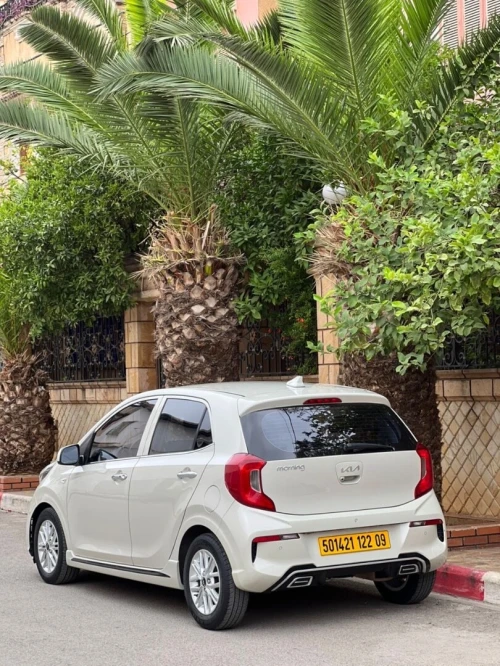 Kia Picanto 2022 Mornig