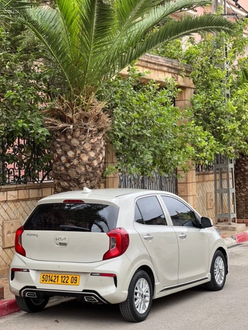 Kia Picanto 2022 Mornig