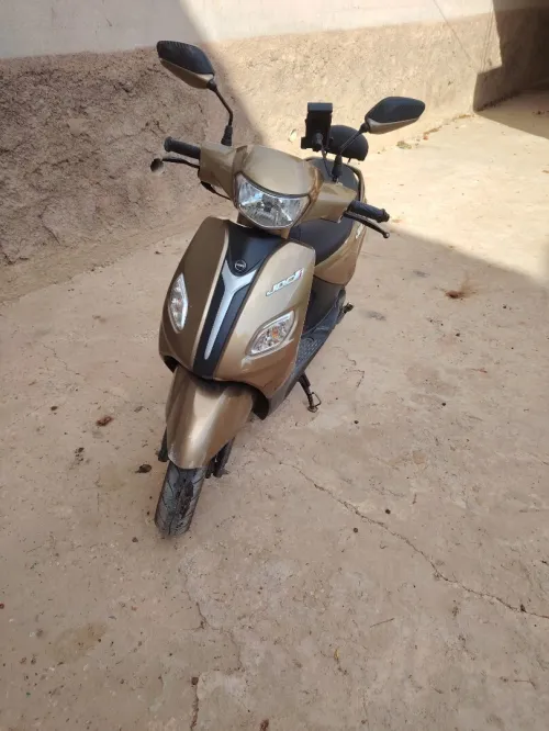 Vms Joci 2024