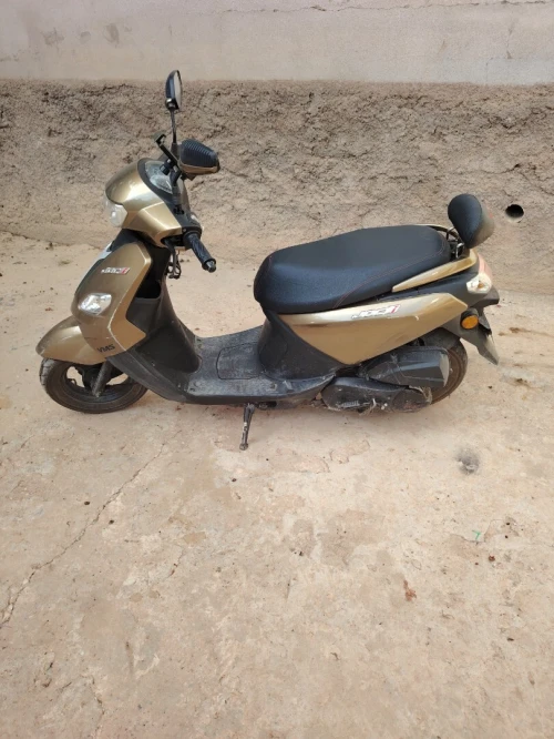 Vms Joci 2024