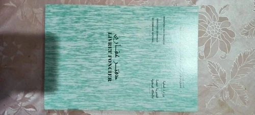 Vente Terrain Blida Chebli