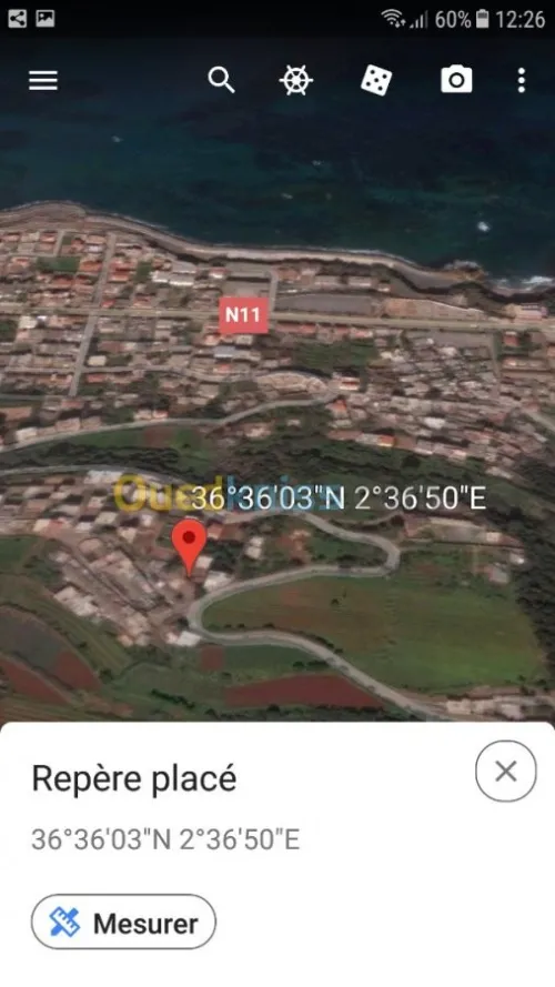 Vente Terrain Tipaza Ain tagourait