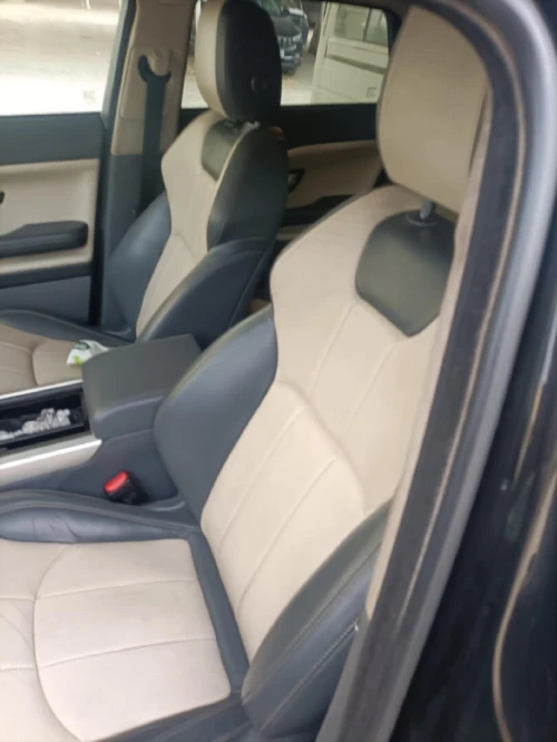 Rover Rover 2018 Rover