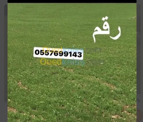 Vente Terrain Bordj Bou Arreridj Teniet en nasr