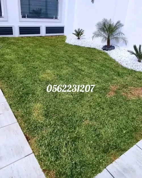 Gazon naturel Jardinage et nettoyage