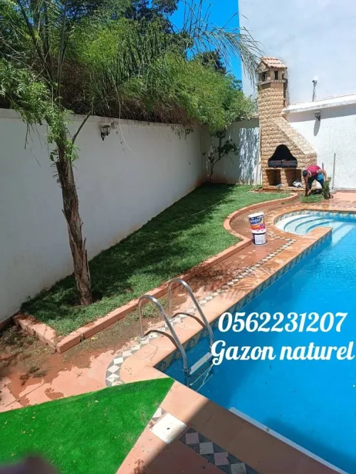 Béton imprimé et Gazon naturel 0562231207