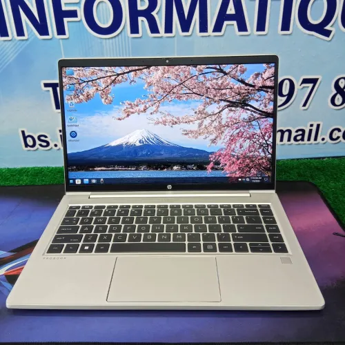  HP probook 845 Ryzen 5 5600U RAM 16GB 512 SSD écran 14 full HD 