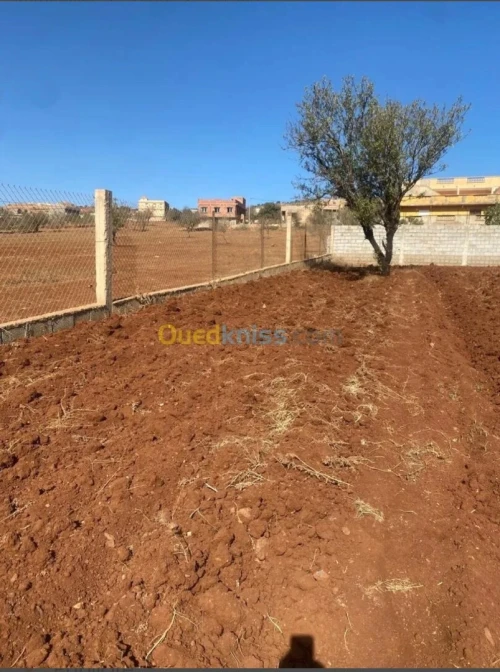 Vente Terrain Tlemcen Ghazaouet