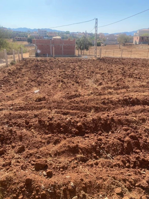 Vente Terrain Tlemcen Ghazaouet