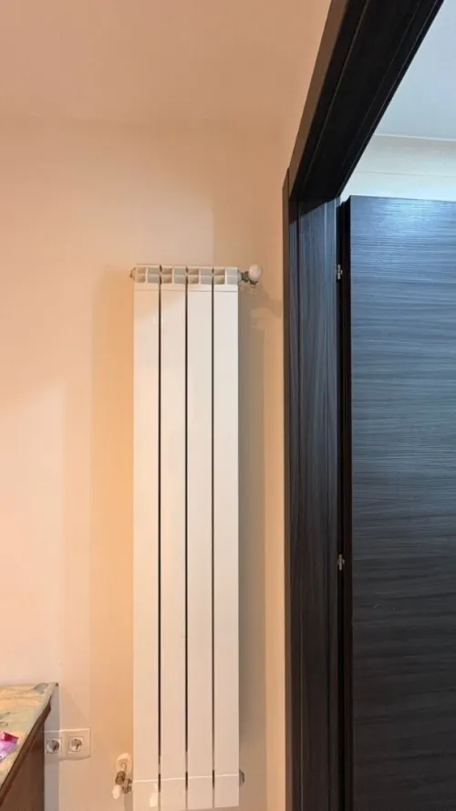 Vente Appartement F4 Alger Cheraga
