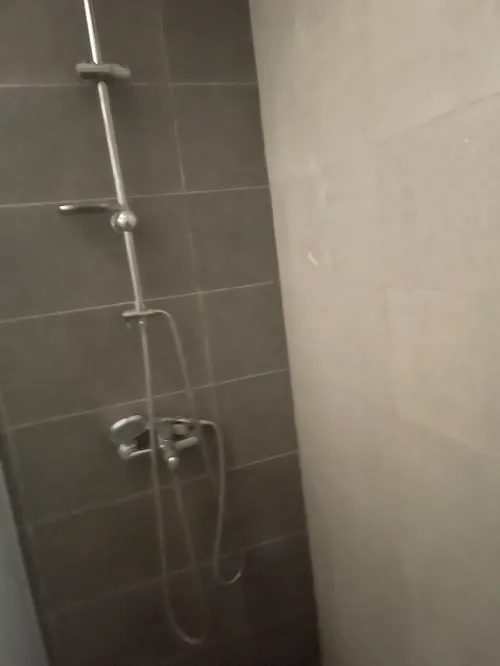 Location Appartement F4 Alger Cheraga
