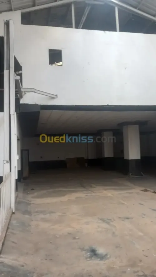 Location Hangar - Usine Oran Oran