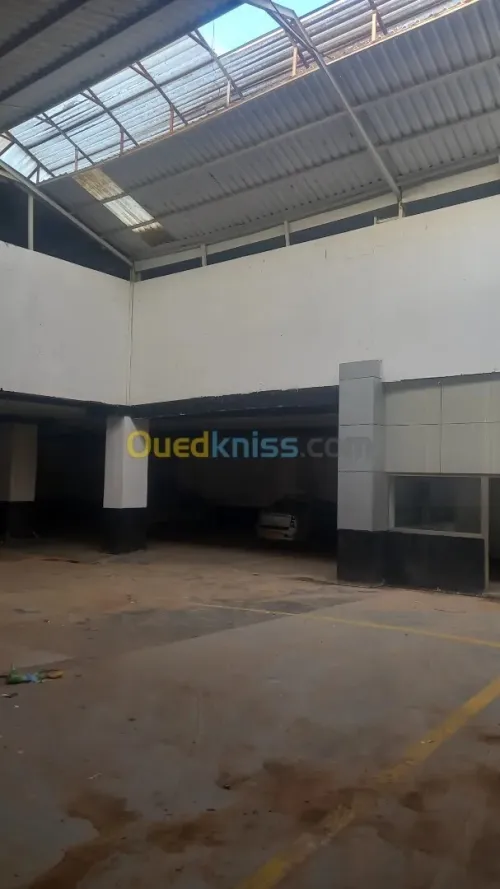 Location Hangar - Usine Oran Oran