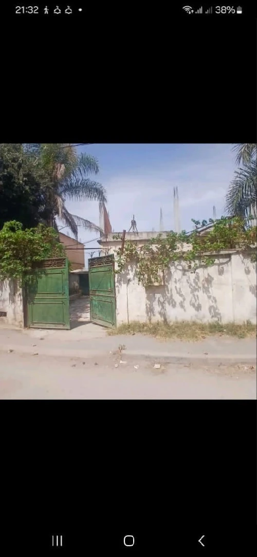 Location Local Blida Boufarik 2