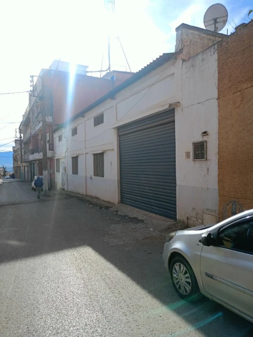 Location Hangar - Usine Tipaza Kolea