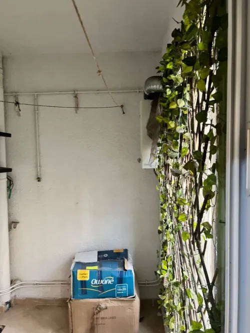 Location Appartement F4 Alger Dely brahim
