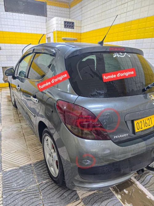 Peugeot 207 2010 207