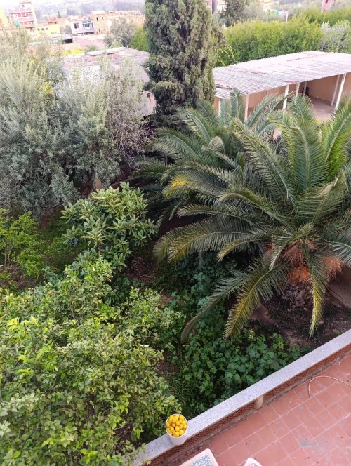 Vente Villa Bouira Chorfa