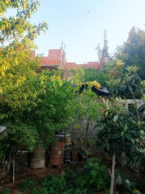 Vente Villa Skikda Skikda