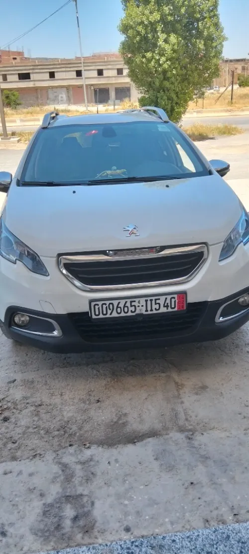 Peugeot 2008 2015 Erg