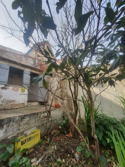 Vente Terrain Alger El mouradia 6