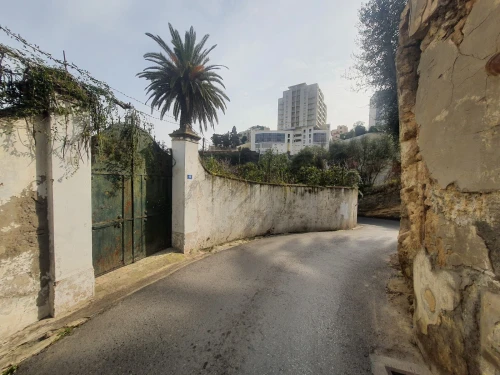 Vente Terrain Alger El mouradia 8