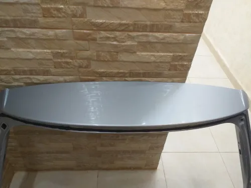 Mâle ibiza 2019 gris argent