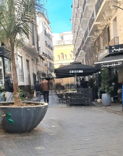 Vente Local Alger Alger centre