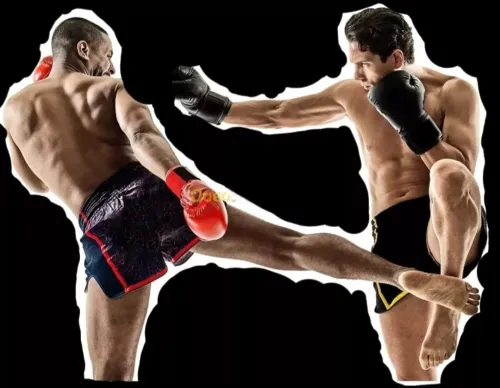 Kickboxing Jiu-jitsu ( MMA ... free fight ) 