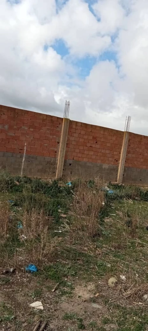 Vente Terrain Mostaganem Kheireddine