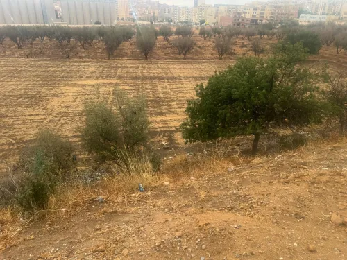 Vente Terrain Tlemcen Tlemcen