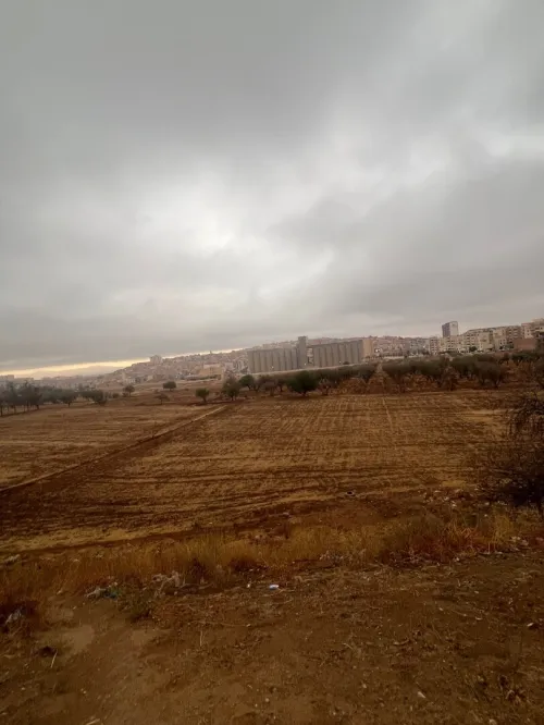 Vente Terrain Tlemcen Tlemcen