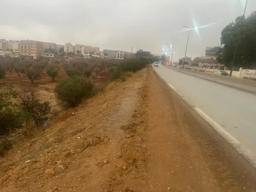 Vente Terrain Tlemcen Tlemcen
