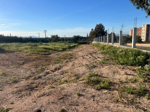 Vente Terrain Tlemcen Hennaya