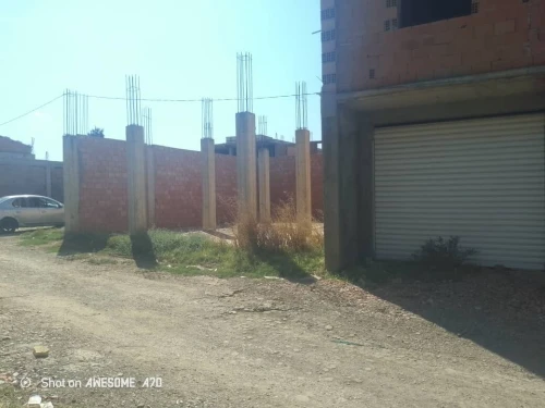 Vente Terrain Blida Meftah