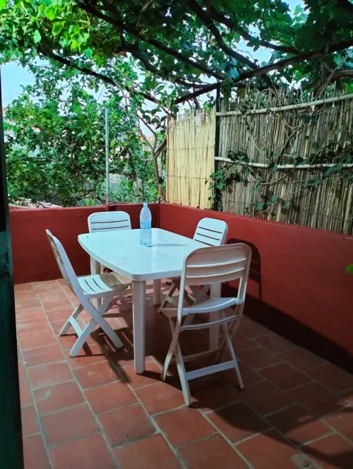 Location Appartement F2 Chlef Tenes