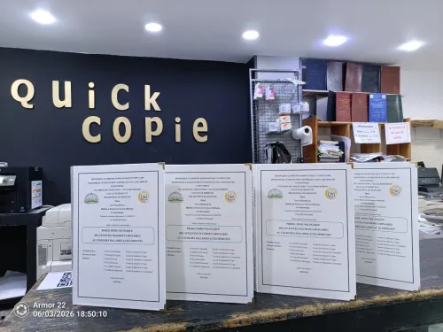 Reproduction des documents
